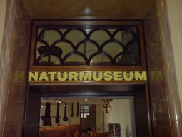 Naturmuseum Winterthur, Projektion von Wanderruten auf Relief
